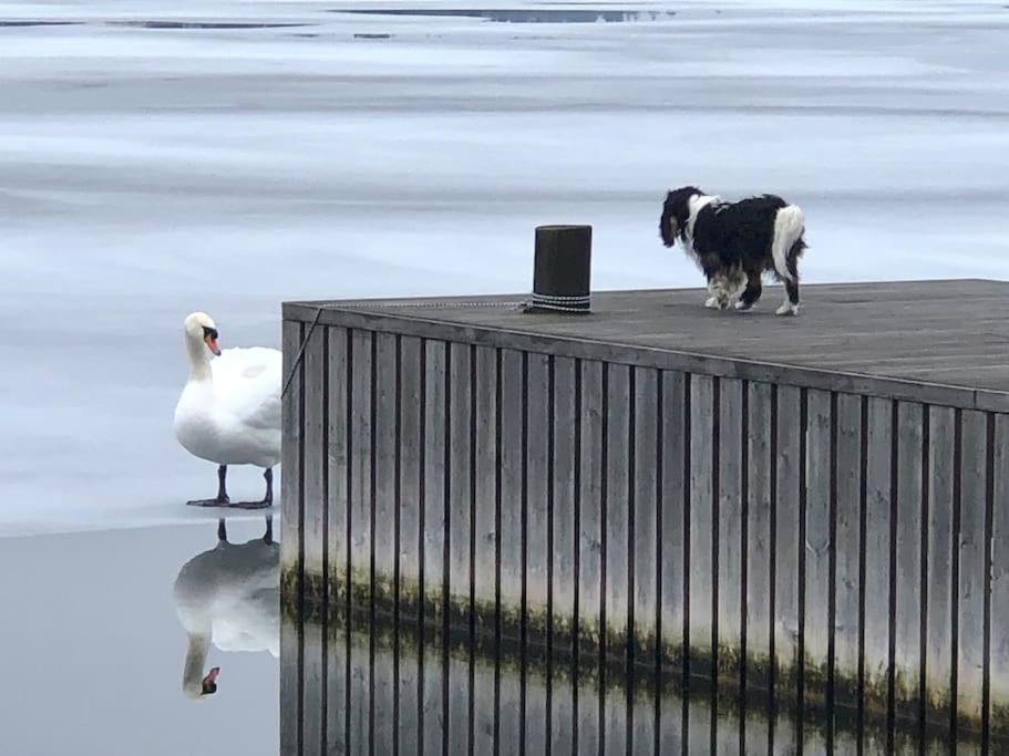 Sjoestuga/Gaesthus I Skaergarden. Åkersberga Exteriér fotografie