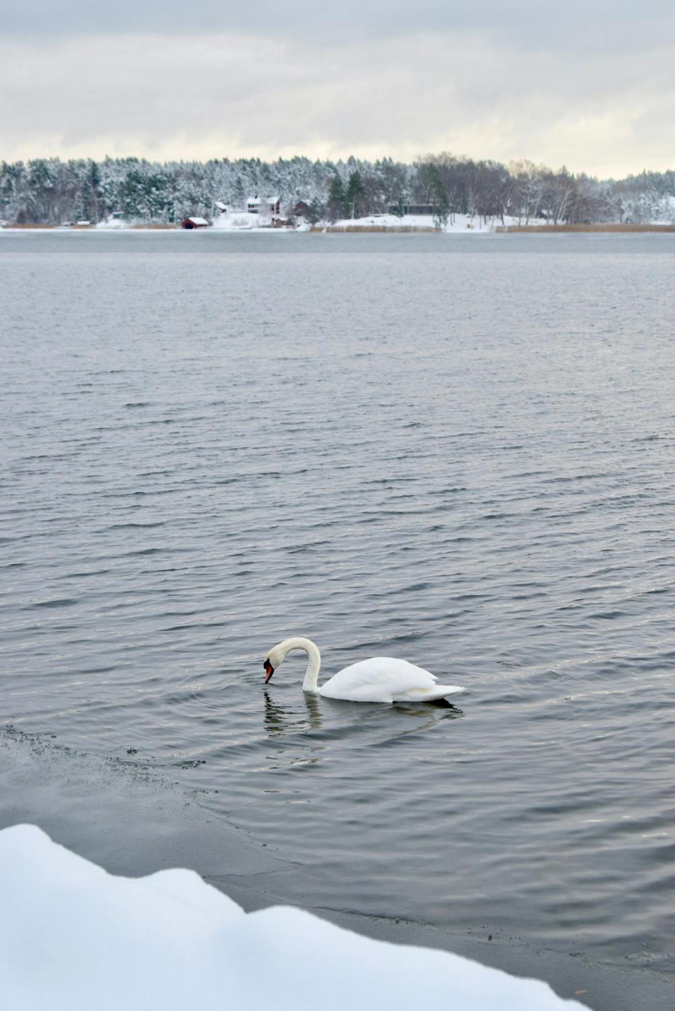 Sjoestuga/Gaesthus I Skaergarden. Åkersberga Exteriér fotografie
